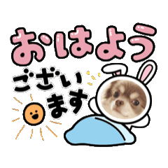 [LINEスタンプ] チワワのKOTARO