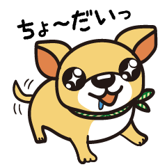 [LINEスタンプ] 食いしん坊チワワのレン