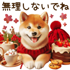 [LINEスタンプ] 毎日使える柴犬の冬の日常*·̩͙❅*＊.