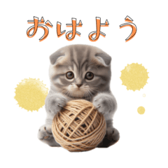 [LINEスタンプ] スコティッシュ・フォールドスタンプ