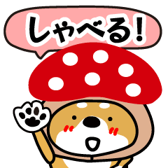 [LINEスタンプ] しゃべる♪き、きのこけん。