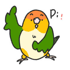 [LINEスタンプ] ゆる❤️シロハラインコちゃん