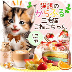 [LINEスタンプ] にゃ！猫語のからふる三毛猫こねこちゃんの画像（メイン）