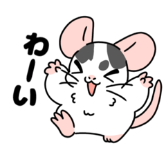 [LINEスタンプ] chamaさんのお家のラットちゃん達