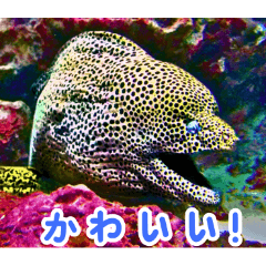 [LINEスタンプ] 世界の魚図鑑 1:日本語