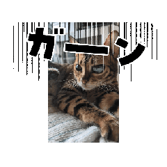 [LINEスタンプ] 私の癒やし❤️