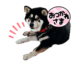 [LINEスタンプ] ナツメForever