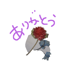 [LINEスタンプ] 「ありがとう」感謝！