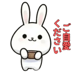 [LINEスタンプ] 可愛いうさぎの敬語で日常会話