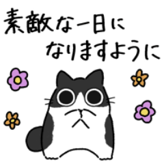 [LINEスタンプ] ねこぽっくるハチワレ【気遣い】