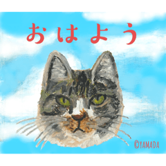 [LINEスタンプ] 野良猫山田のフェイススタンプ