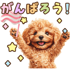 [LINEスタンプ] トイプードルのカラフル☆スタンプ