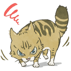 [LINEスタンプ] 靴下ねこのくっく