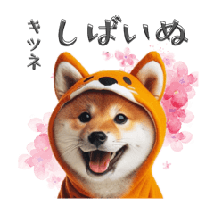 [LINEスタンプ] キツネになりきる柴犬