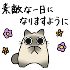 [LINEスタンプ] ねこぽっくるシャム【気遣い】