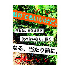 [LINEスタンプ] 写真にズバリ言うで、ポスターセット02