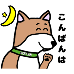 [LINEスタンプ] 豆柴チロの日常で使えるスタンプ