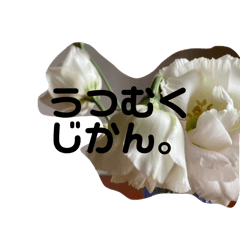 [LINEスタンプ] 哀しいに共に俯く優しきお花ちゃんset