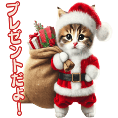 [LINEスタンプ] サンタ猫と一緒に楽しいクリスマスを！
