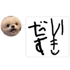 [LINEスタンプ] ぷぷるる日常スタンプ！