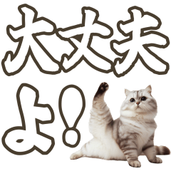 [LINEスタンプ] 毎日使える日常会話☆返信で使える☆猫ネコ