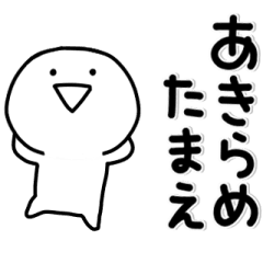 [LINEスタンプ] ▶動く！しら君の標準語バージョン