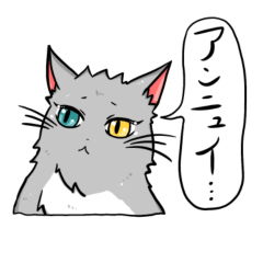 [LINEスタンプ] 映えたい猫は今日もホントは寂しがり