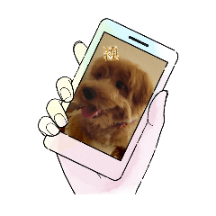 [LINEスタンプ] 画面に映るわんこ