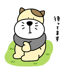 [LINEスタンプ] 毎日使えるシンプルあいさつ（ねこ）