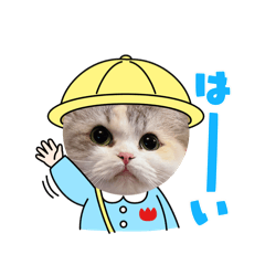[LINEスタンプ] ぽむにゃん！