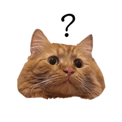 [LINEスタンプ] うにまーる