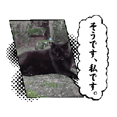 [LINEスタンプ] 地域猫と仲間