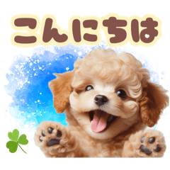 [LINEスタンプ] かわいい子犬！トイプードル