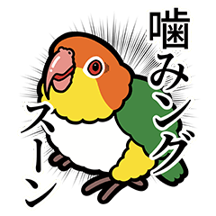 [LINEスタンプ] 鳥たちのダジャレスタンプ 001