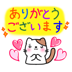 [LINEスタンプ] カラフル♡猫の喜び＆感謝の気持ちスタンプ