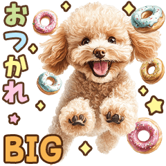 [LINEスタンプ] トイプードルのカラフル☆BIGスタンプ