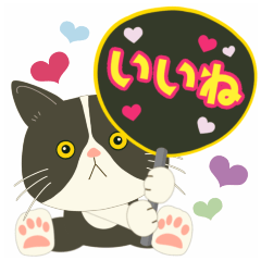 [LINEスタンプ] 【カラフル】推し活deハチワレぶーにゃん