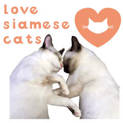 [LINEスタンプ] love siamese cats