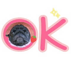 [LINEスタンプ] パグミオスタンプ