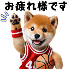 [LINEスタンプ] 【敬語】リアルなバスケしば犬