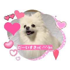 [LINEスタンプ] 動くさらんへよ〜♥︎