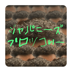 [LINEスタンプ] ゆーまたんすたんぷ