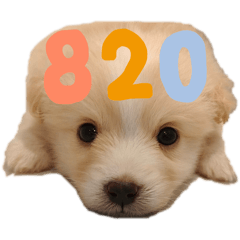 [LINEスタンプ] でかポメプー 820♀