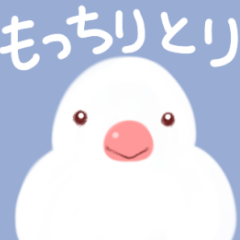 [LINEスタンプ] もちっと鳥スタンプ
