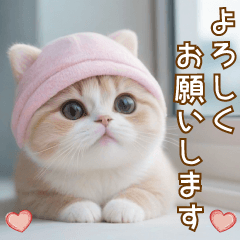 [LINEスタンプ] 窓際のキュートなスコティッシュ猫 敬語