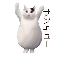 [LINEスタンプ] 動くドット猫ミーム