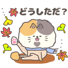 [LINEスタンプ] サマーカットにゃんこパステル三毛静岡弁秋