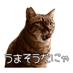 [LINEスタンプ] だいぶごま