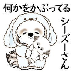 [LINEスタンプ] シーズー犬【何かしら被ってるよ】2024