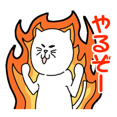 [LINEスタンプ] 何かが楽しみなネコ